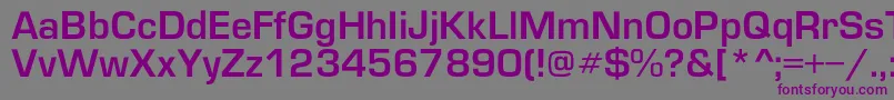Шрифт Europedemic – фиолетовые шрифты на сером фоне