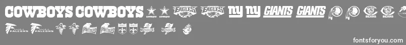NflNfc Font – White Fonts on Gray Background