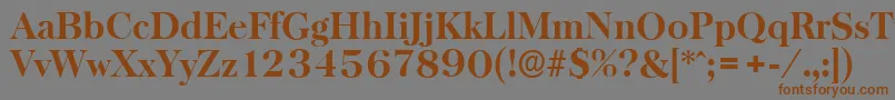 BaskervilleserialXboldRegular Font – Brown Fonts on Gray Background