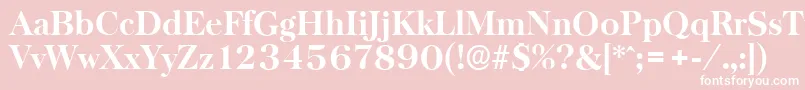 BaskervilleserialXboldRegular Font – White Fonts on Pink Background