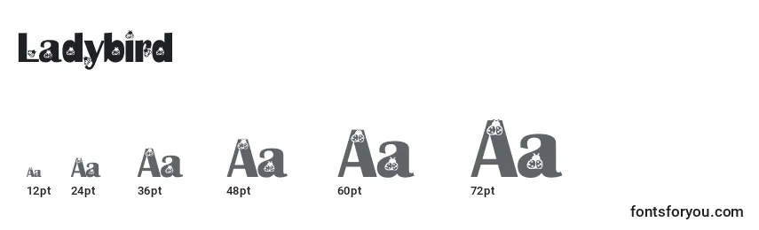 Ladybird Font Sizes