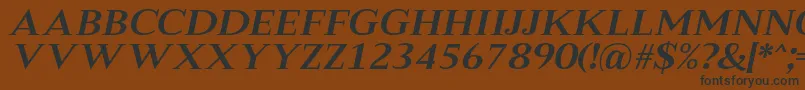 Weitere Informationen zur MeryshaRegularItalic-Schriftart MeryshaRegularItalic-Schriftart – Schwarze Schriften auf braunem Hintergrund