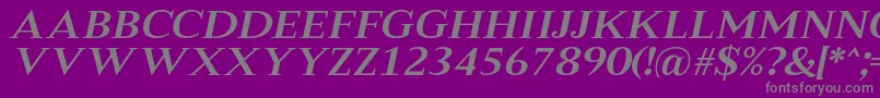 MeryshaRegularItalic Font – Gray Fonts on Purple Background