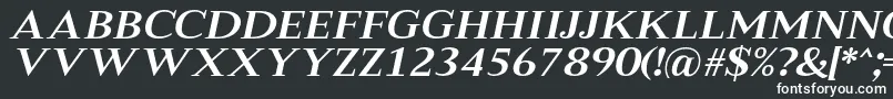 Шрифт MeryshaRegularItalic – белые шрифты