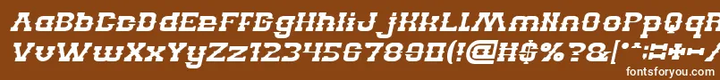 BillyTheKidItalic Font – White Fonts on Brown Background