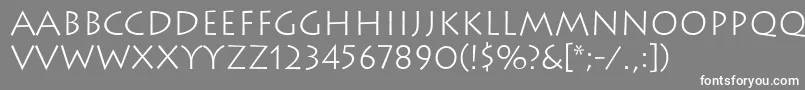 フォントLithosLight – 灰色の背景に白い文字