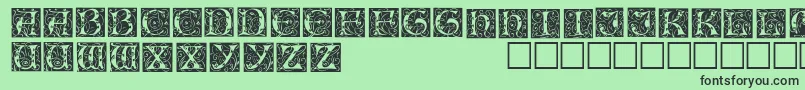 IlluminationedisplaycapssskRegular Font – Black Fonts on Green Background