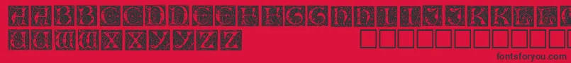 IlluminationedisplaycapssskRegular Font – Black Fonts on Red Background