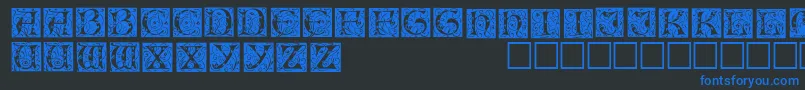 IlluminationedisplaycapssskRegular Font – Blue Fonts on Black Background