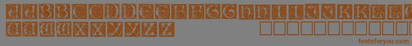 Подробнее о шрифте IlluminationedisplaycapssskRegular Шрифт IlluminationedisplaycapssskRegular – коричневые шрифты на сером фоне
