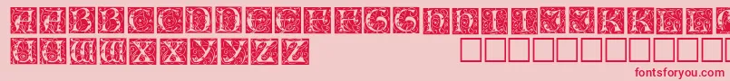 IlluminationedisplaycapssskRegular Font – Red Fonts on Pink Background