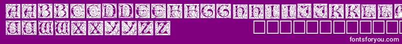 IlluminationedisplaycapssskRegular Font – White Fonts on Purple Background