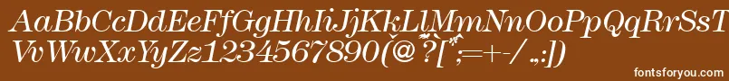 Modern438lightRegularitalic Font – White Fonts on Brown Background