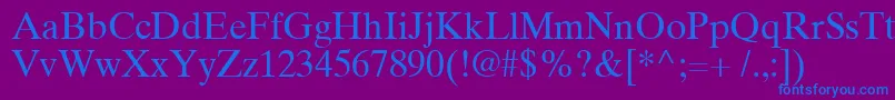 TimesTenCyrillicUpright Font – Blue Fonts on Purple Background