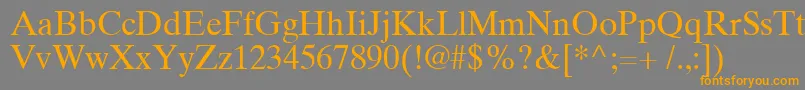 TimesTenCyrillicUpright Font – Orange Fonts on Gray Background