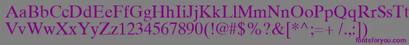 TimesTenCyrillicUpright Font – Purple Fonts on Gray Background