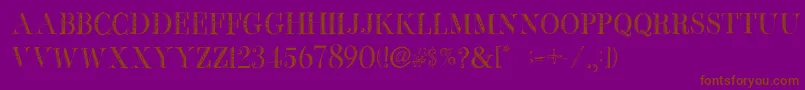 BbPetieBoyHeavy Font – Brown Fonts on Purple Background