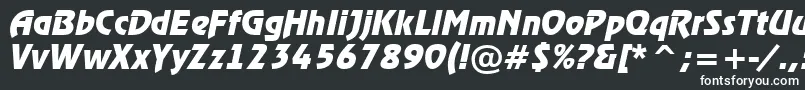 Шрифт RewinderBolditalic – белые шрифты на чёрном фоне