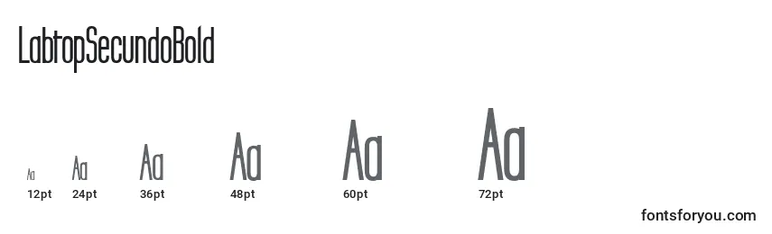LabtopSecundoBold Font Sizes