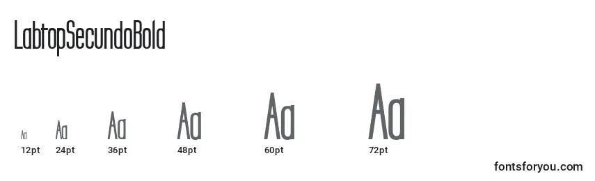 Tamaños de fuente LabtopSecundoBold
