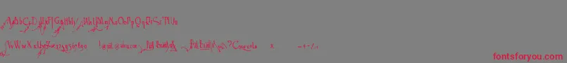 Spijker08Bold Font – Red Fonts on Gray Background