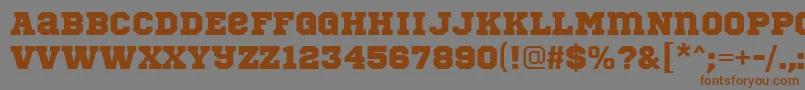 SportsWorldRegular Font – Brown Fonts on Gray Background