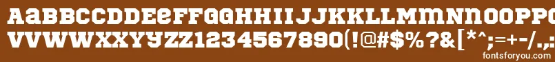 SportsWorldRegular Font – White Fonts on Brown Background