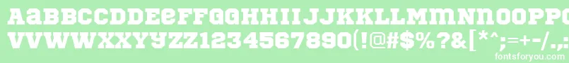 SportsWorldRegular Font – White Fonts on Green Background