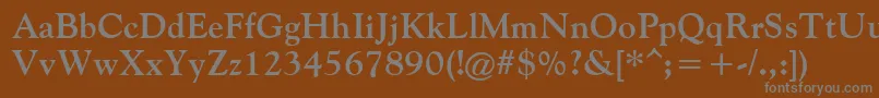 FilcoOldeStyleBold Font – Gray Fonts on Brown Background