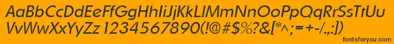 OrnitonslhItalic Font – Black Fonts on Orange Background