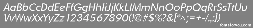 OrnitonslhItalic Font – White Fonts on Gray Background