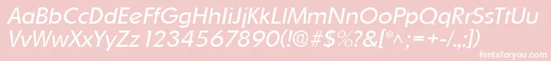 OrnitonslhItalic Font – White Fonts on Pink Background