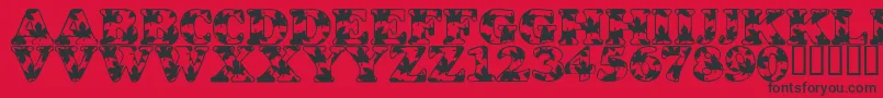 LmsOhCanada Font – Black Fonts on Red Background