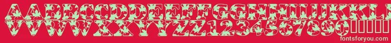 LmsOhCanada Font – Green Fonts on Red Background