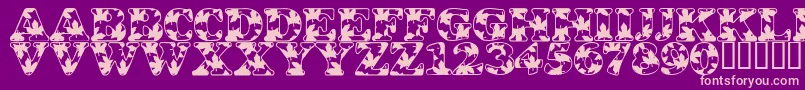 LmsOhCanada Font – Pink Fonts on Purple Background
