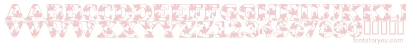 Fonte LmsOhCanada – fontes rosa em um fundo branco