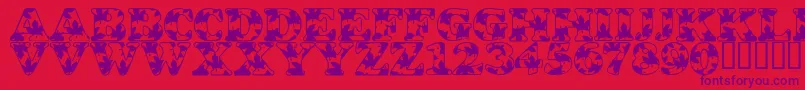 LmsOhCanada Font – Purple Fonts on Red Background