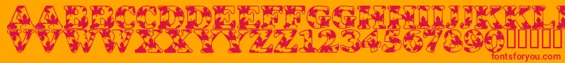 LmsOhCanada Font – Red Fonts on Orange Background