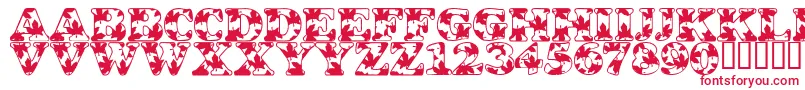 LmsOhCanada-Schriftart – Rote Schriften auf weißem Hintergrund