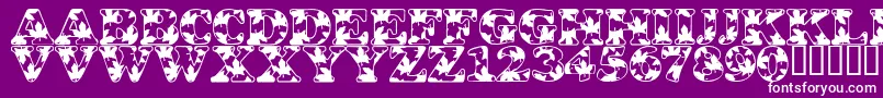 LmsOhCanada Font – White Fonts on Purple Background