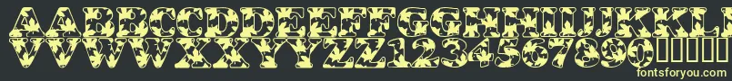 LmsOhCanada-Schriftart – Gelbe Schriften auf schwarzem Hintergrund