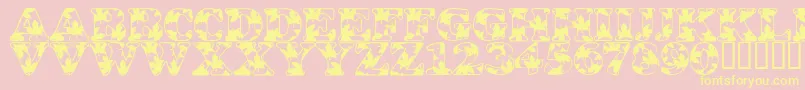 LmsOhCanada Font – Yellow Fonts on Pink Background