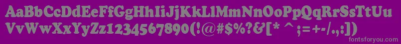 ACooperblacknr Font – Gray Fonts on Purple Background