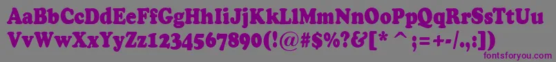 ACooperblacknr-Schriftart – Violette Schriften auf grauem Hintergrund
