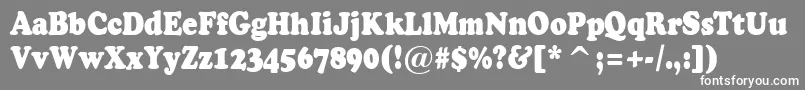 ACooperblacknr Font – White Fonts on Gray Background