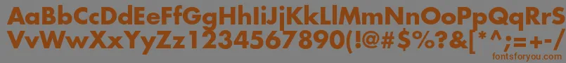 Шрифт FuturastdBold – коричневые шрифты на сером фоне
