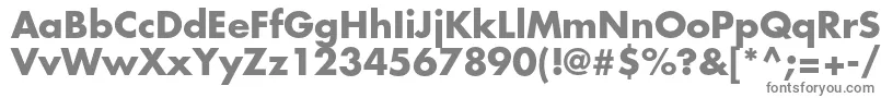 FuturastdBold Font – Gray Fonts on White Background