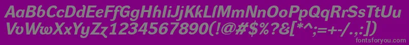 DynagroteskreBolditalic-Schriftart – Graue Schriften auf violettem Hintergrund