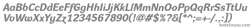 Шрифт DynagroteskreBolditalic – серые шрифты на белом фоне