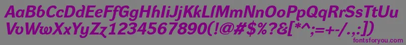 DynagroteskreBolditalic Font – Purple Fonts on Gray Background